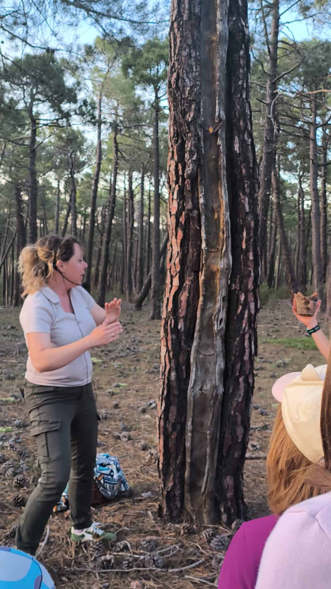 Guia de medio ambiente en Teruel
