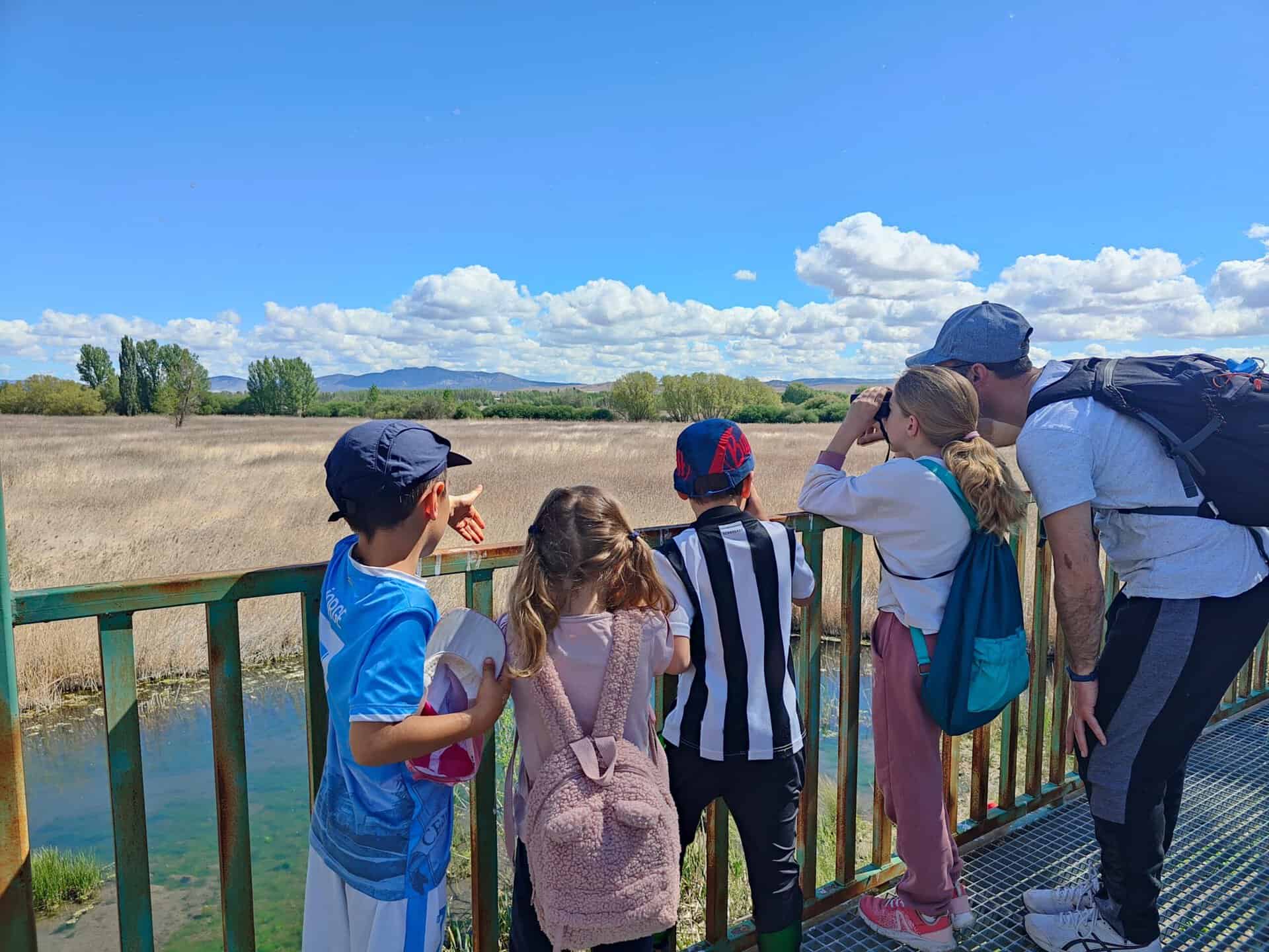 donde ver el eclipse de sol Visita guiada en la laguna del Cañizar
