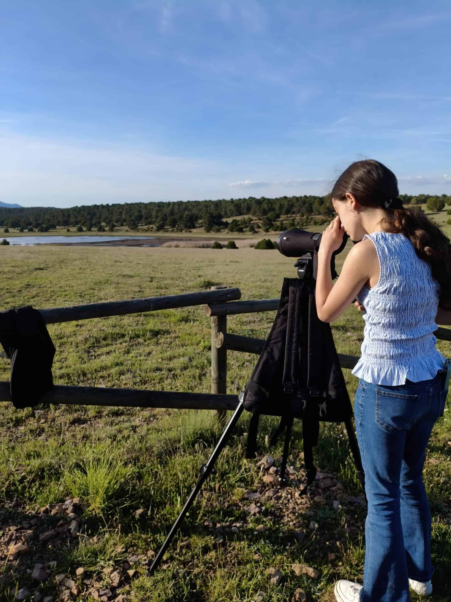 visitas guiadas de ornitologia en la sierra de Albarracin