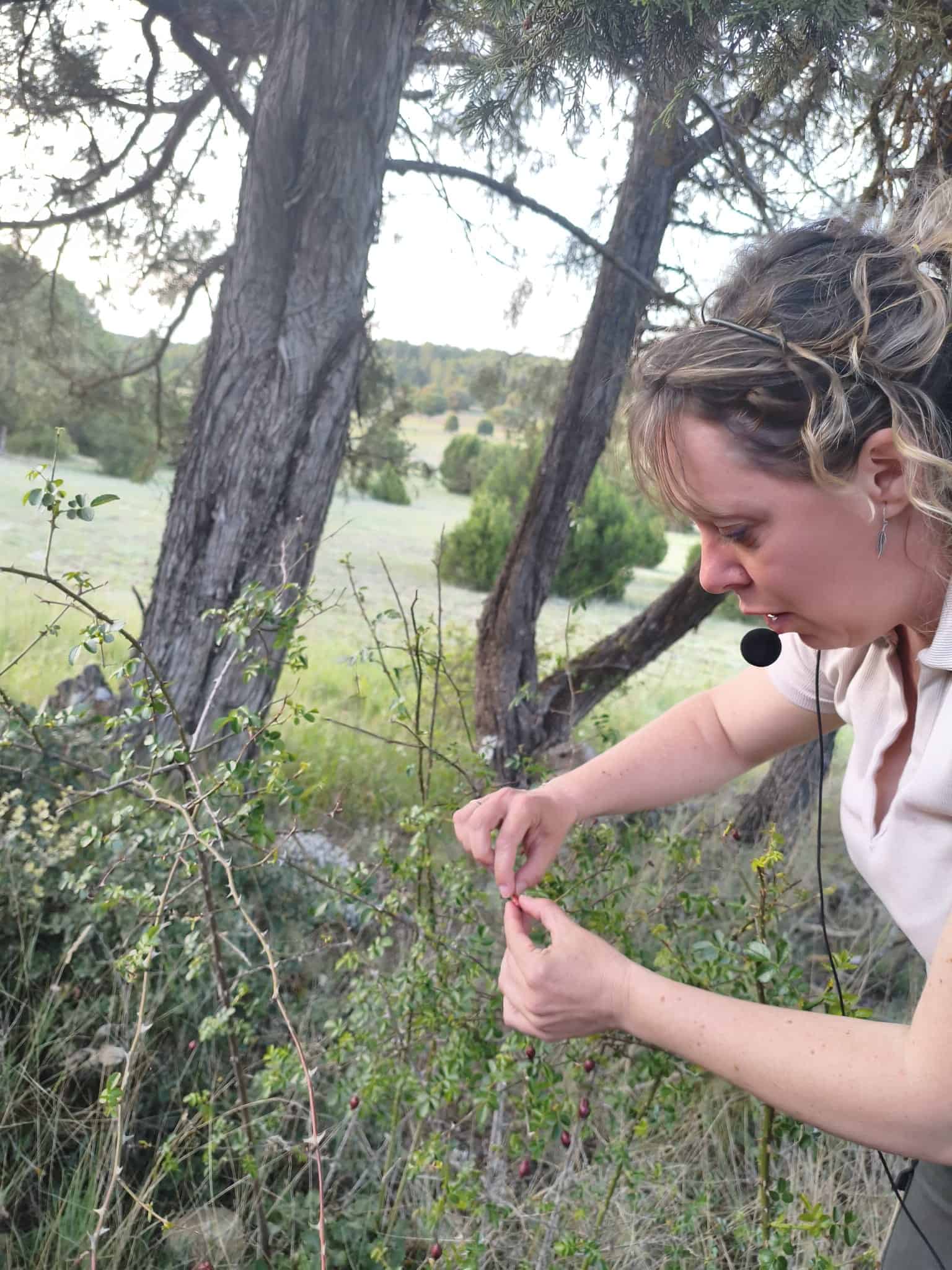 casa rural con actividades para niños