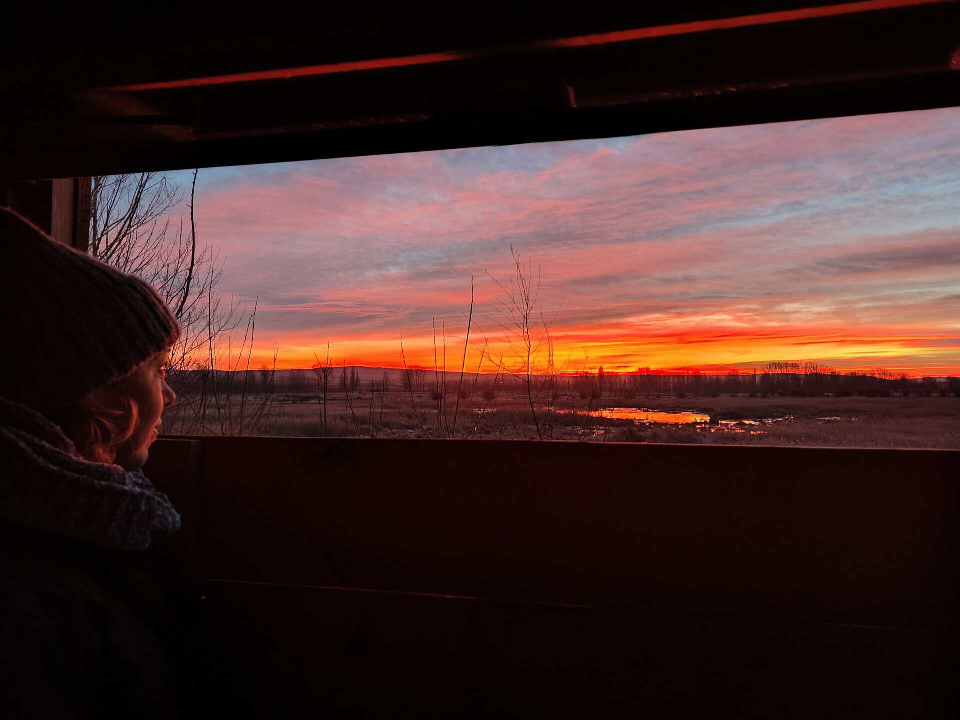 Amanecer en la laguna del Cañizar