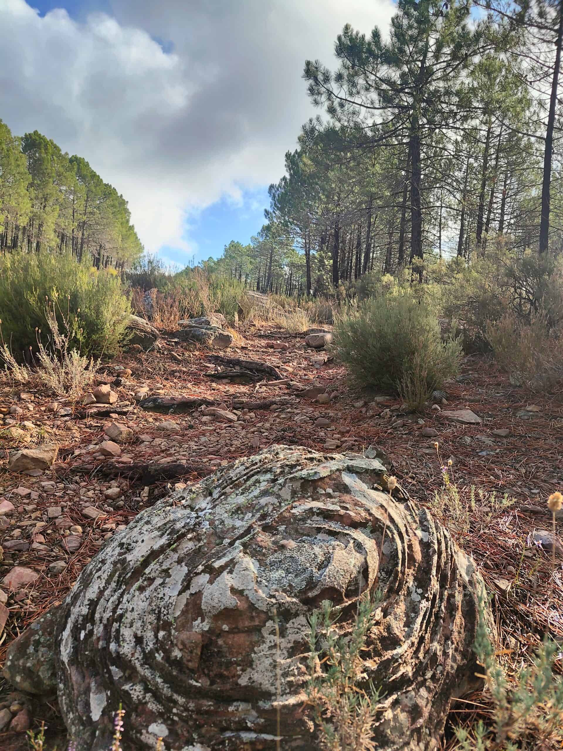 Viaje al centro del Pinar: Una ruta secreta entre rocas, pinturas rupestres e historia